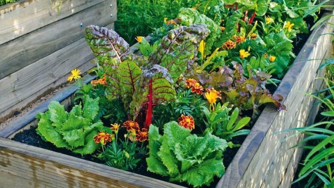 586377f9-b521-494e-9826-1adfc7ef0257_dam-urlfs9ekq