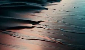 _905d5de7-4702-4ba6-ba8e-459aafb9f0f9