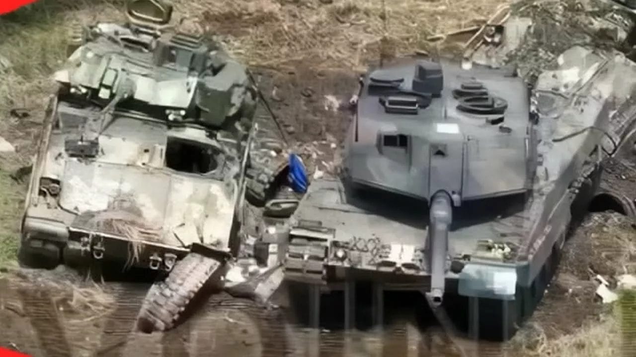 bradley-leopard1
