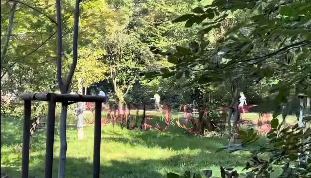 MIGRANTI UŽ SÚ V BRATISLAVE NA KAŽDOM KROKU - TOTO STE CHCELI, PANI ČAPUTOVÁ?!