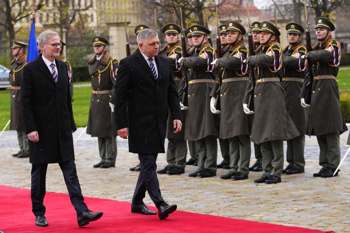 fico-fiala_01-galeria