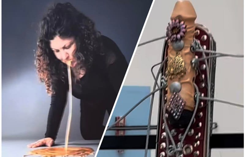 Vibrátor na gitare a zvracajúca žena sa páčiť musia. Liberálny fašizmus ako vyšitý